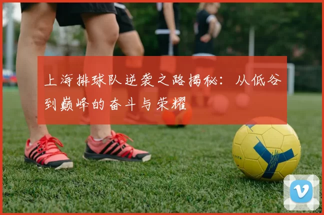 上海排球队逆袭之路揭秘：从低谷到巅峰的奋斗与荣耀