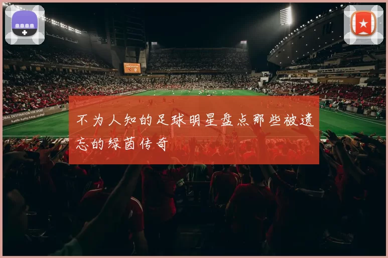 不为人知的足球明星盘点那些被遗忘的绿茵传奇