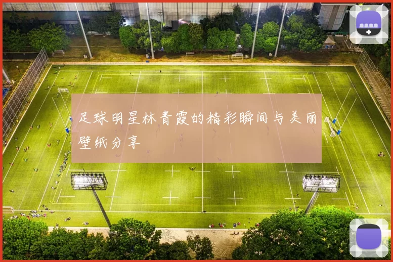 足球明星林青霞的精彩瞬间与美丽壁纸分享