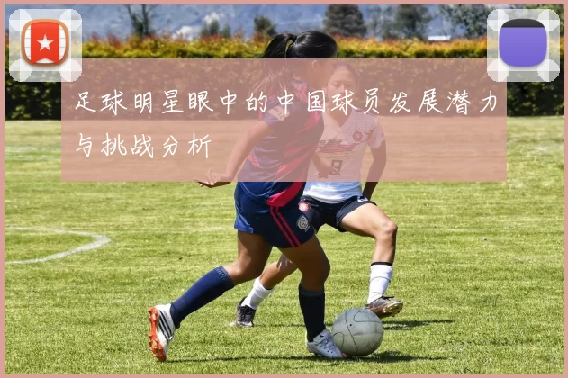 足球明星眼中的中国球员发展潜力与挑战分析