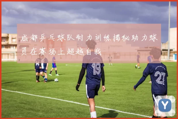 成都乒乓球队耐力训练揭秘助力球员在赛场上超越自我