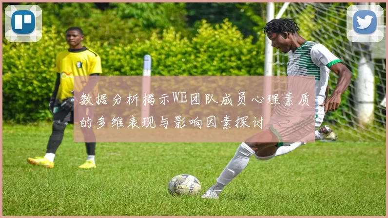 数据分析揭示WE团队成员心理素质的多维表现与影响因素探讨
