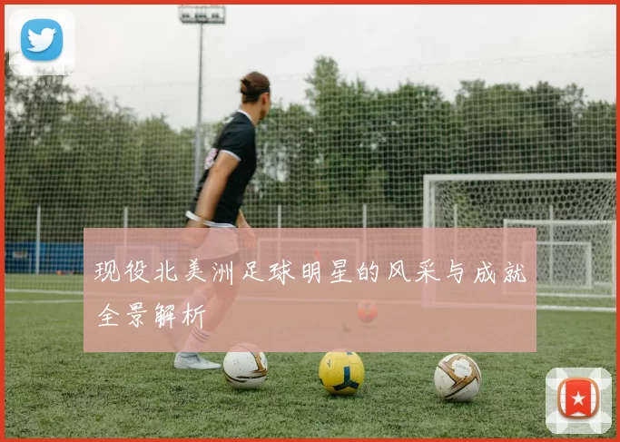 现役北美洲足球明星的风采与成就全景解析