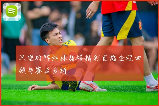 汉堡对阵柏林赫塔精彩直播全程回顾与赛后分析
