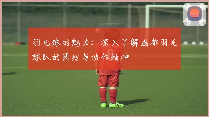 羽毛球的魅力：深入了解成都羽毛球队的团结与协作精神