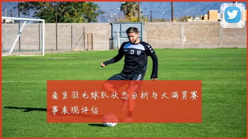 南京羽毛球队状态分析与大满贯赛事表现评估