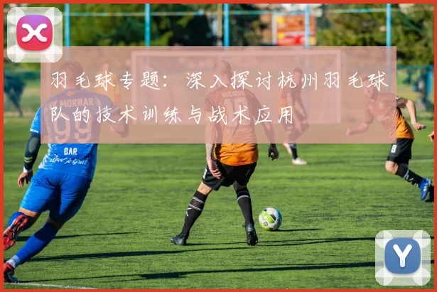 羽毛球专题：深入探讨杭州羽毛球队的技术训练与战术应用