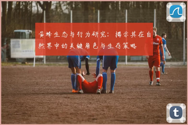 黄蜂生态与行为研究：揭示其在自然界中的关键角色与生存策略