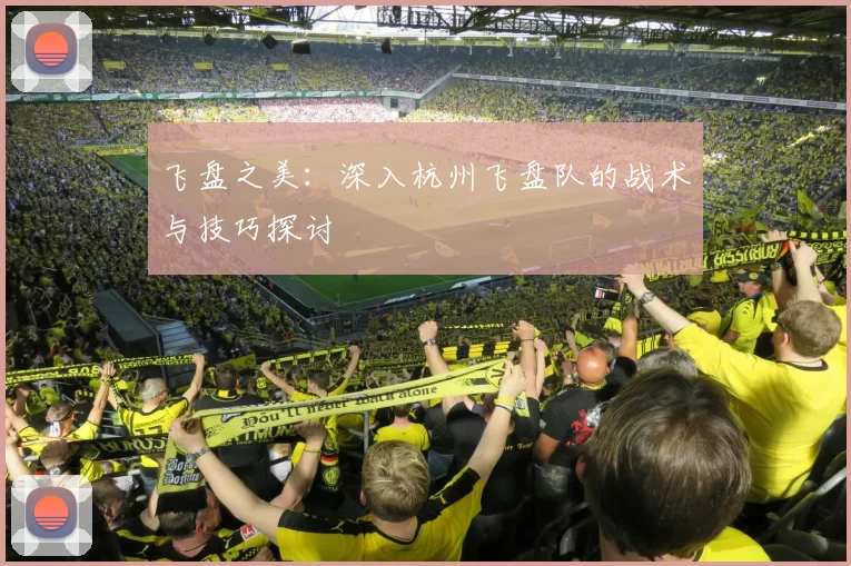 飞盘之美：深入杭州飞盘队的战术与技巧探讨