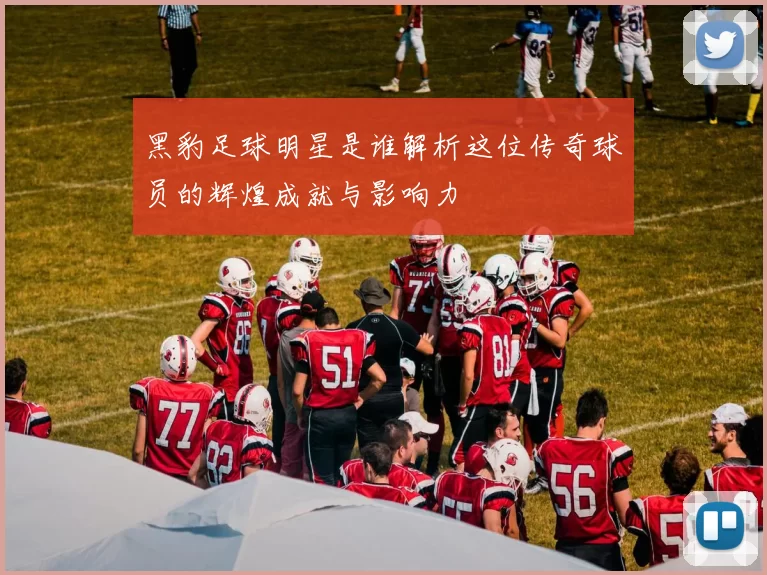 黑豹足球明星是谁解析这位传奇球员的辉煌成就与影响力