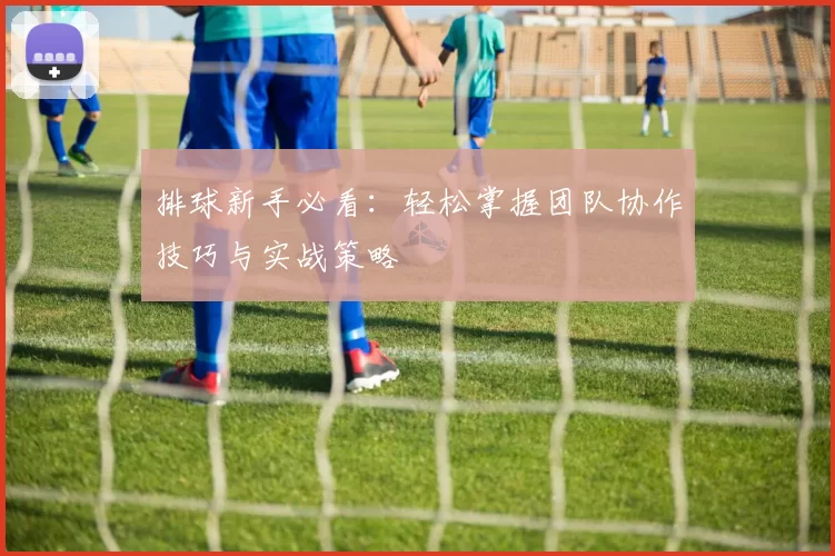 排球新手必看：轻松掌握团队协作技巧与实战策略