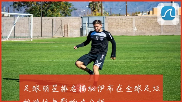 足球明星排名揭秘伊布在全球足坛的地位与影响力分析