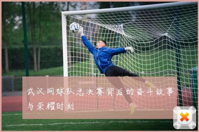 武汉网球队总决赛背后的奋斗故事与荣耀时刻